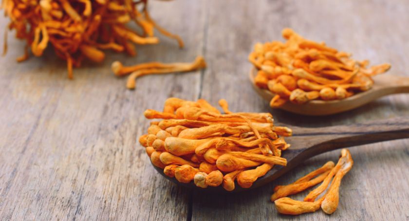 Maypro Partners with NuCelium to Deliver Organic, Full-Spectrum Mushroom Powders 